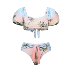 Short Sleeve Palmtree Bikini Set